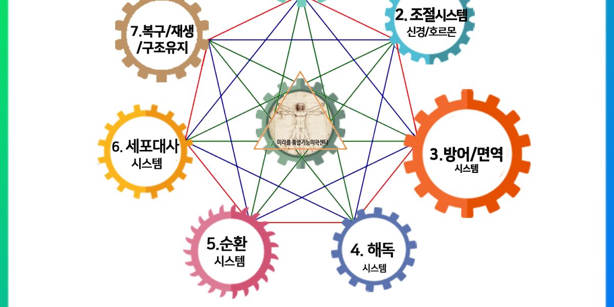 톱니바퀴5-4-자연치유력1-7-web