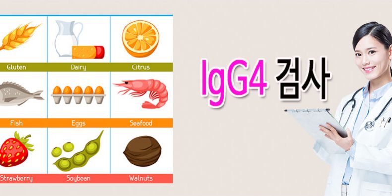 검사-igg4-1